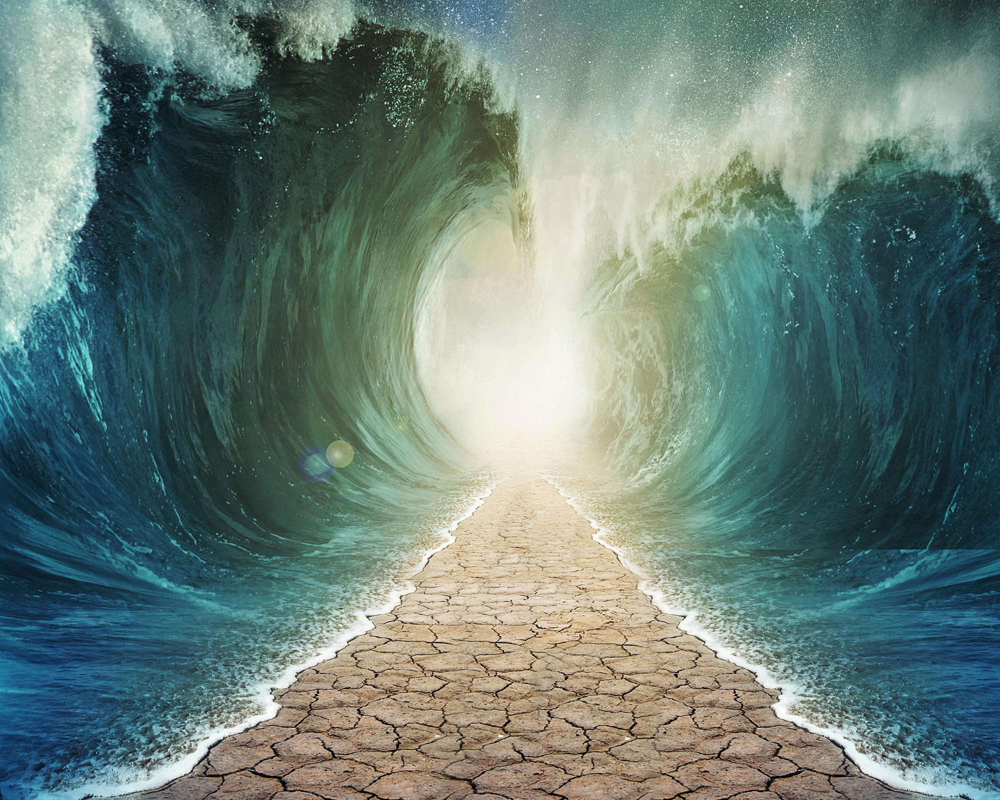 ����sf,����sf��վ