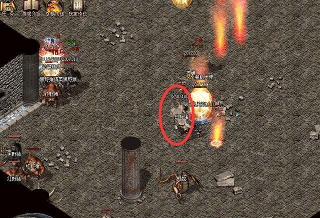 �¿�������Ϸ��-�¿����淢����վ