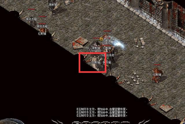 1sf���淢��վ